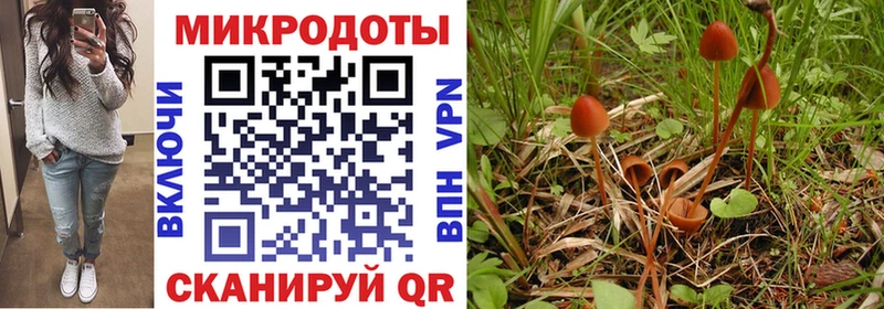 Псилоцибиновые грибы Cubensis  даркнет официальный сайт  Лысково 